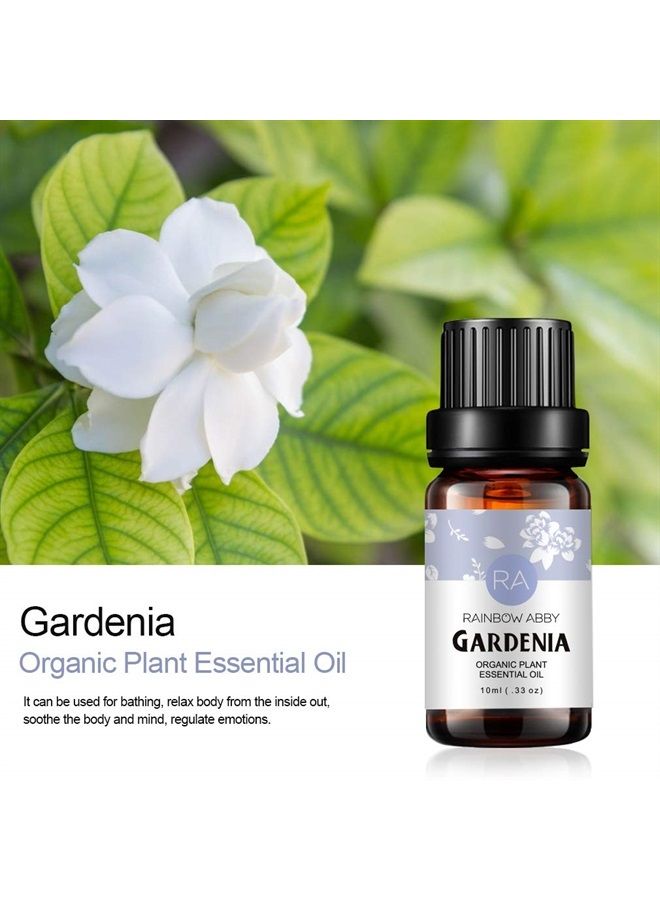 Rainbow Abby 2-Pack Gardenia Essential Oil 100% Pure Oganic Plant Natrual Flower Essential Oil for Diffuser Message Skin Care Sleep - 10ML - Image 2