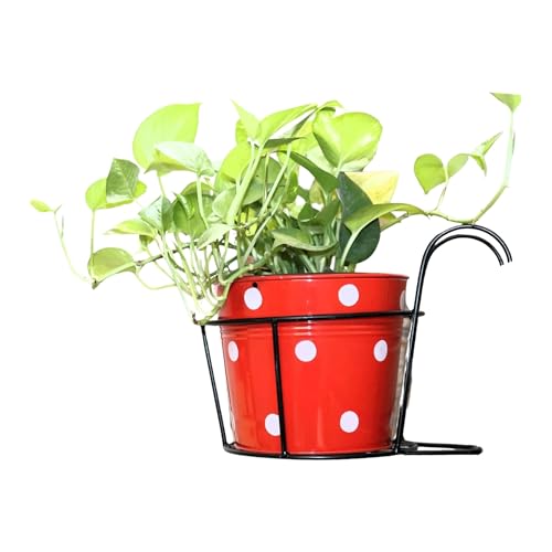 Leafy Tales Metal Hanging Flower Pot Railing Stand (Set of 1) - Rust-Proof Black Plant Holders for Balcony Grill & Terrace | Heavy Duty Hanging Planter Baskets for Home Garden Decor - Image 1
