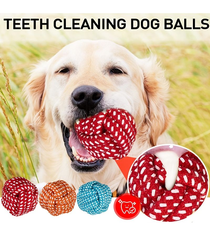 Orange Dog Chew Rope Ball Toy For Dental Care Small To Medium Breeds - Image 1