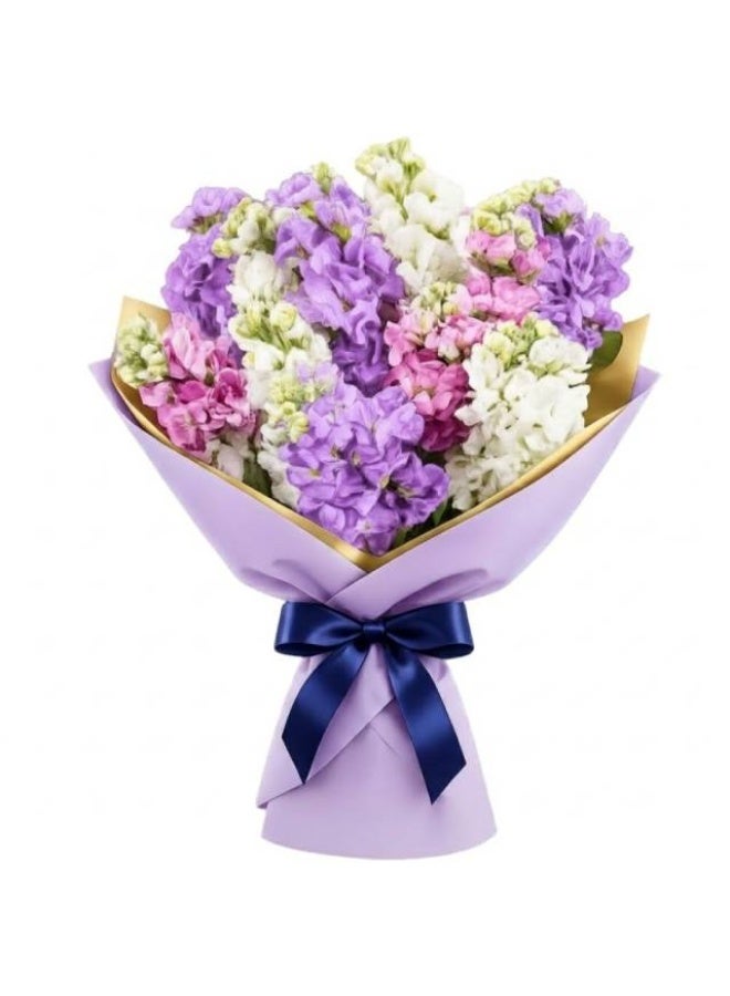 Mathiola , Mix - 10 Stems (Pink, Purple, White), Kenya