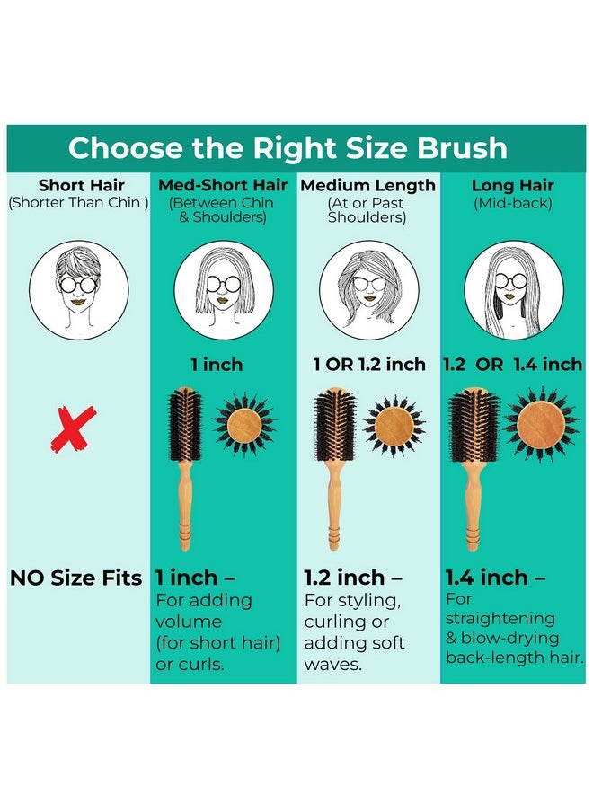 Care Me High-Density Soft Boar Bristles Wood Round Brush for Blow-Drying, Straightening, Styling, Volumizing Medium to Long Hair (Shoulder to Back-Length) for Shine & Volume, 1.2" Roller, 2.4" with Bristles  - Image 5