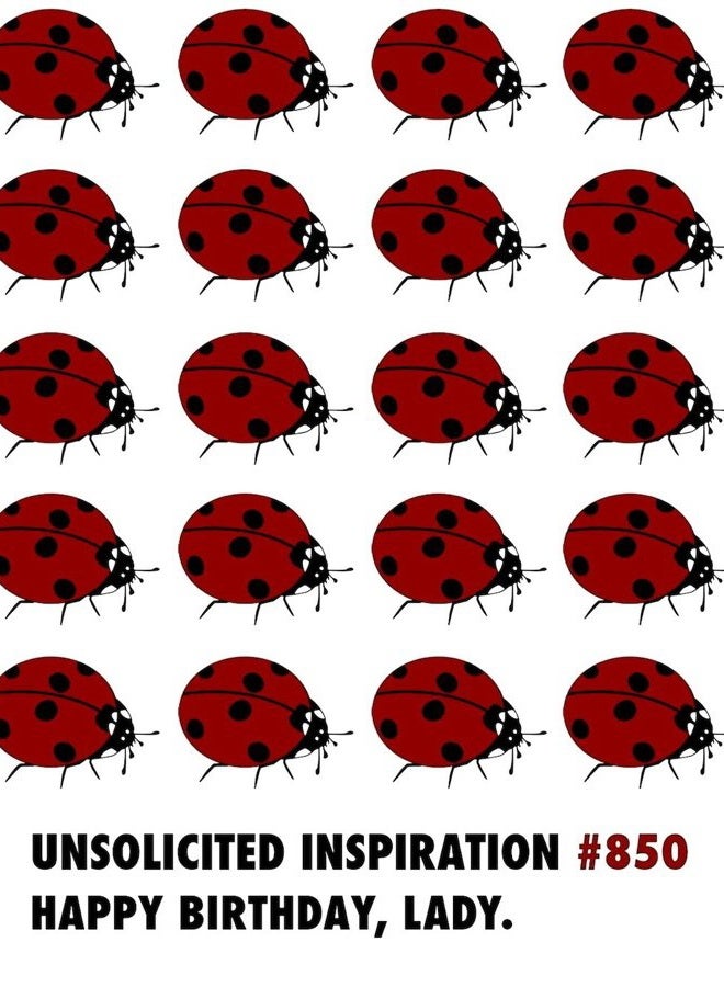 UI826PCK Ladybug Birthday Card (6 pack)