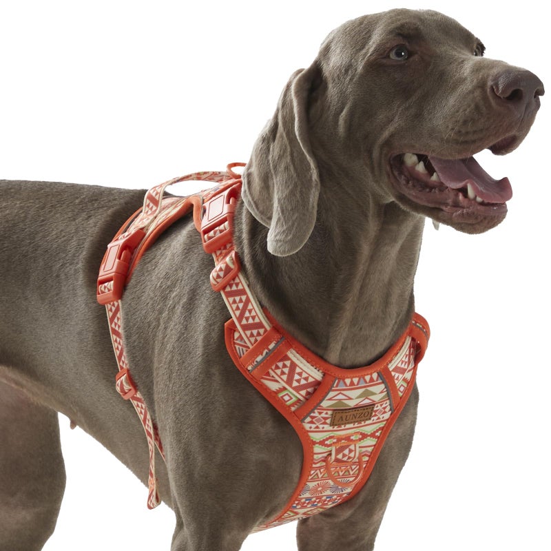 AUNZO No Pull Dog Harness for Large Dogs with 2 Metal Clips, Easy On/Off with Neck Buckle, Heavy Duty Adjustable Puppy Vest, Breathable Pet Harness with Easy Control Handle, Orange Ethnic L - Image 1