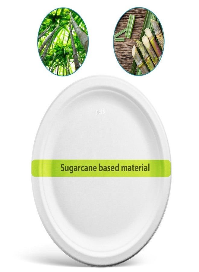 Perk Staples Paper Plates, 9 Inch, Disposable For Everyday Meals, Kitchen, Breakroom, Company Events, Party Supplies, 250-Pack, White - Image 5