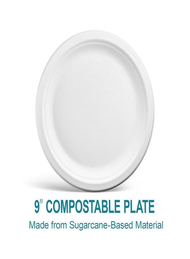 Perk Staples Paper Plates, 9 Inch, Disposable For Everyday Meals, Kitchen, Breakroom, Company Events, Party Supplies, 250-Pack, White - Image 3