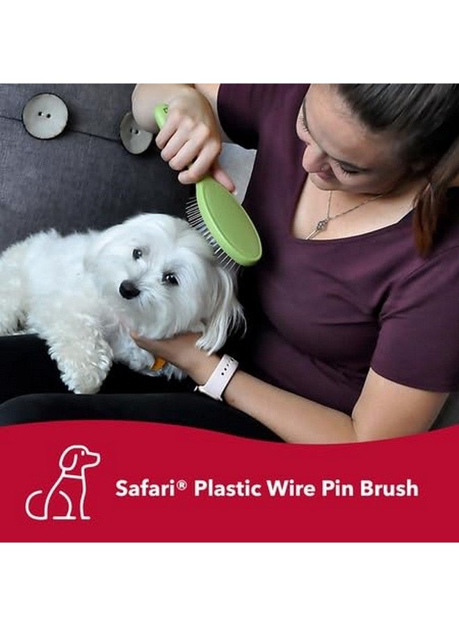 Coastal Pet Safari Wire Pin Brush  NoSlip Plastic Handle For Short And Long Pet Hair  9.25" X 2.5" Compatible Grooming Tool - Image 2