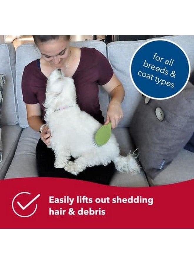 Coastal Pet Safari Wire Pin Brush  NoSlip Plastic Handle For Short And Long Pet Hair  9.25" X 2.5" Compatible Grooming Tool - Image 3