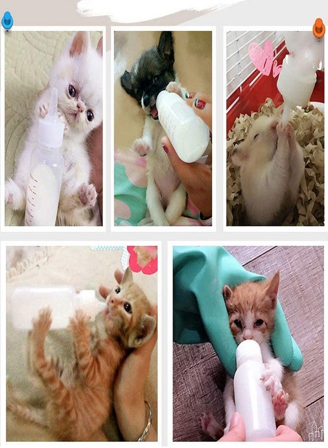 Royale Dog 60ML Puppy Nursing Bottle Kit, Dog Cat Puppy Milk Feeding Bottle with 4 Replacement Nipples Milk Feeder Nursing Care Set and 1PCS Nipple Brush -Color May Vary - Image 5