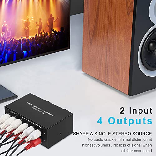 Dingsun 4-Way Stereo Audio Switcher, Bi-Directional Audio Selector Box for Blu-ray Players or DVD Players Active Speakers (2In-4Out/4In-2Out) - Image 5