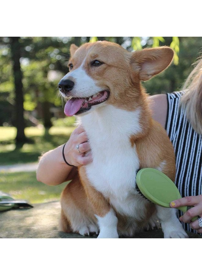 Coastal Pet Safari Bristle Dog Brush, Brush, Small (8" L x 2" W) - Image 2