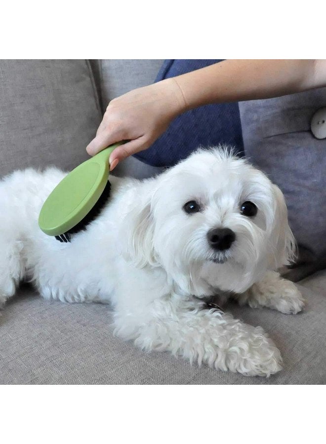 Coastal Pet Safari Bristle Dog Brush, Brush, Small (8" L x 2" W) - Image 3