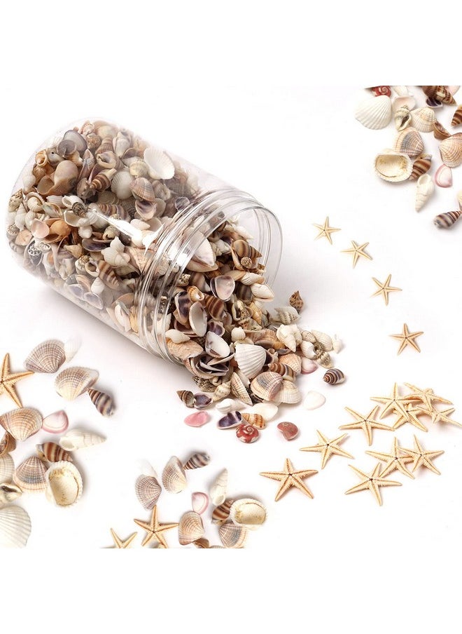 Hapy Shop 1200 Pieces Tiny Sea Shells Small Natural Starfish Mixed Ocean Beach Spiral Seashells For Home Decorations,Wedding Decor,Candle Making,Beach Theme Party,Diy Crafts And Vase Filler  - Image 1
