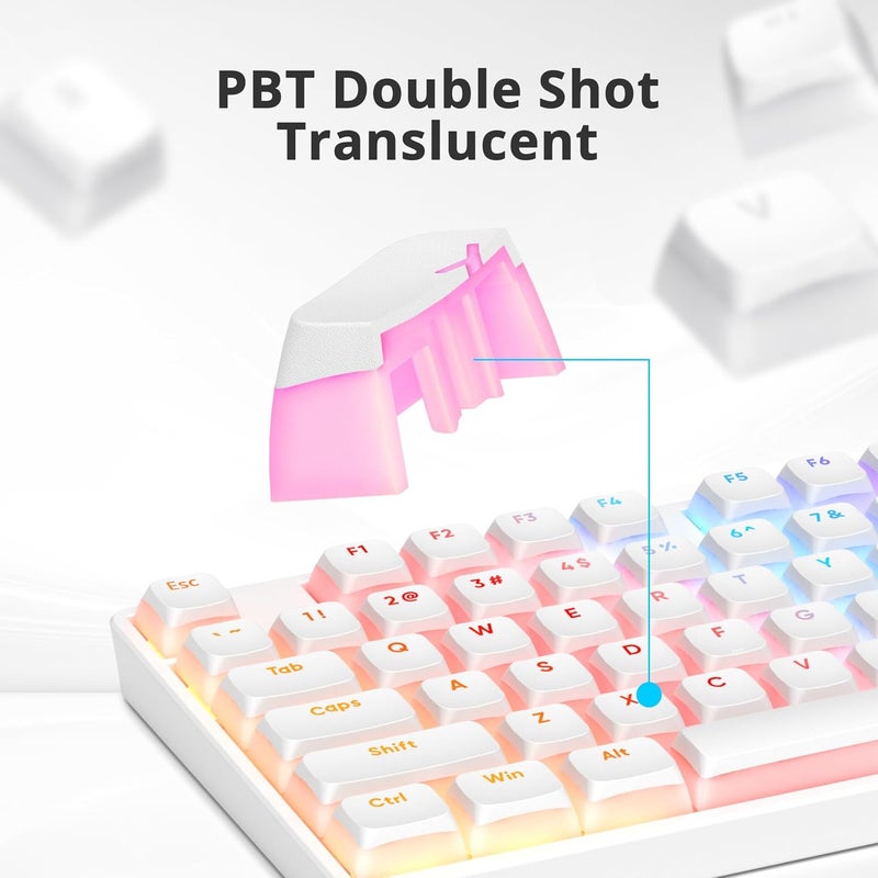 surmen 117-Key Pudding Keycaps，PBT Double Shot Keycaps XDA Profile Anti-Grease for MX Switches Mechanical Keyboard(White) - Image 3