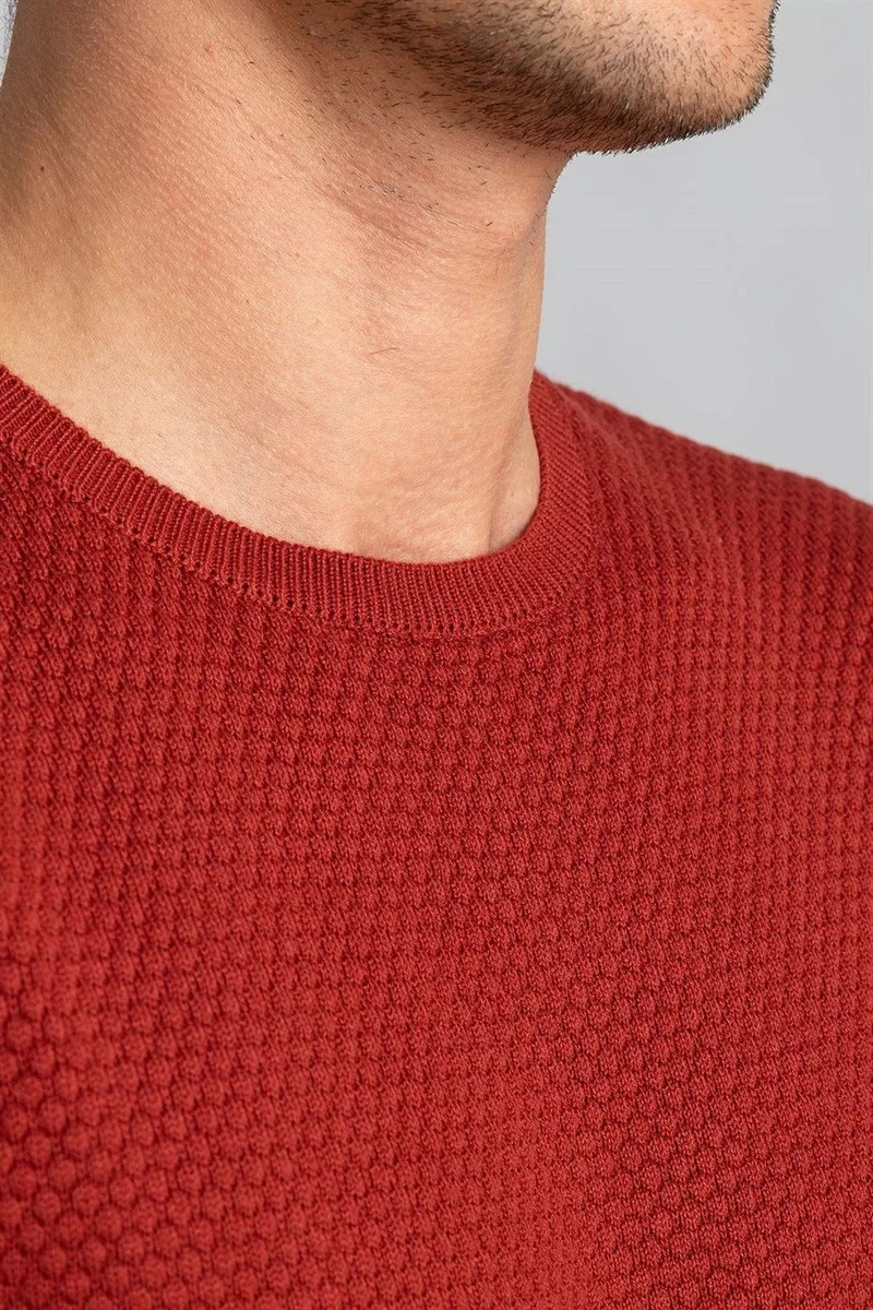 تودورس Men's Slim Fit Crew Neck Honeycomb Patterned Brick Knit Sweater