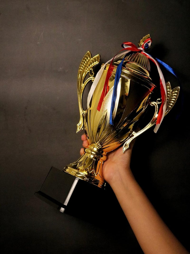 ArtRight 007 Trophy for Cricket | Cricket Cup Trophy Big Size (Winners Trophy) ; Award for Best Cricketer - Image 5