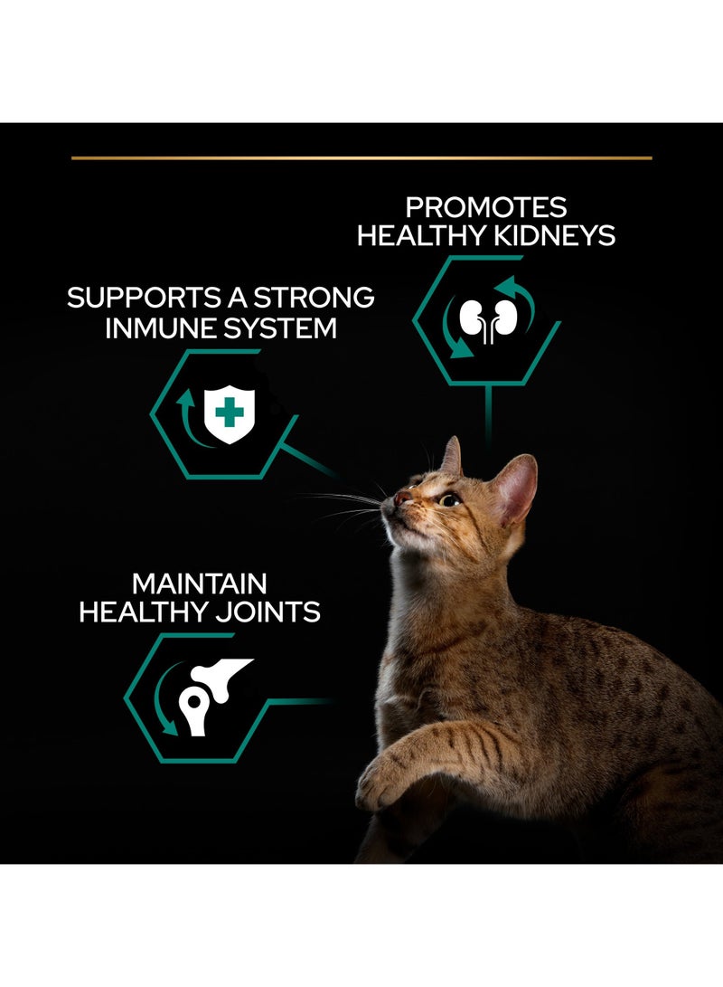 Purina Pro Plan Adult Renal Plus Everyday Dry Cat Food with Chicken 3kg - Image 5