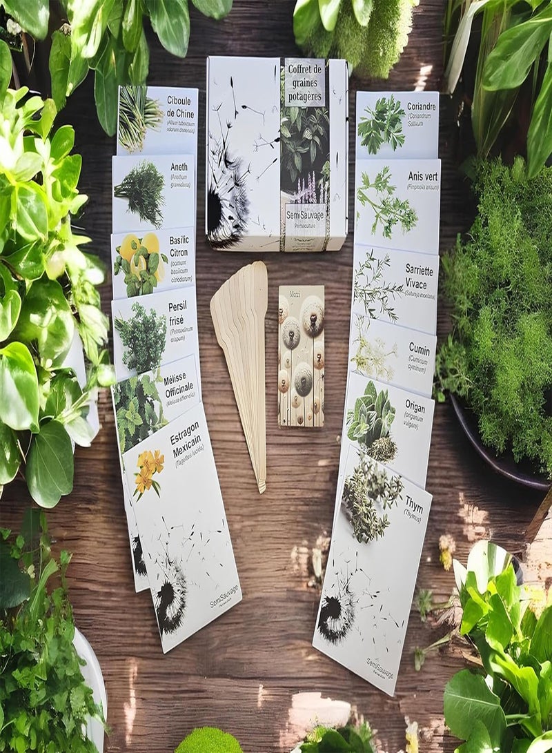 GGOOT Seed Box - Special Aromatic Plants -  Permaculture - Image 1