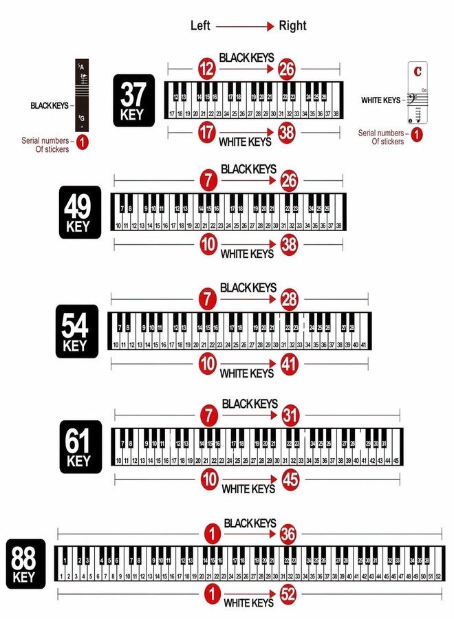U ANNPER Removable Piano Stickers for 88/61/54/49/37 Keys - Colorful Note Labels for Beginners & Kids, Perfect for Learning Piano, Fits All White & Black Keys, Easy to Apply & Remove - Image 4