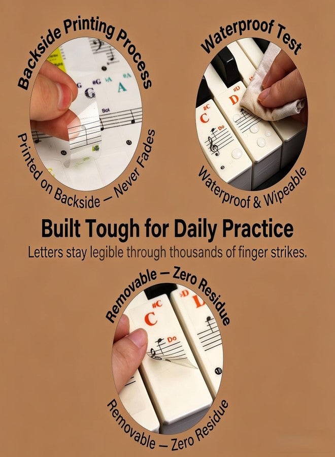 U ANNPER Removable Piano Stickers for 88/61/54/49/37 Keys - Colorful Note Labels for Beginners & Kids, Perfect for Learning Piano, Fits All White & Black Keys, Easy to Apply & Remove - Image 5