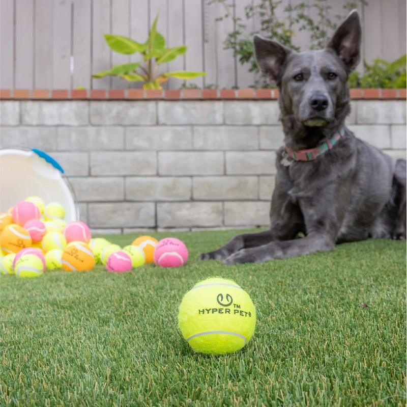 Hyper Pet Tennis Balls for Dogs - Safe and Fun Fetch Toy, 4 Pack of 2.5" Green Balls - Image 4