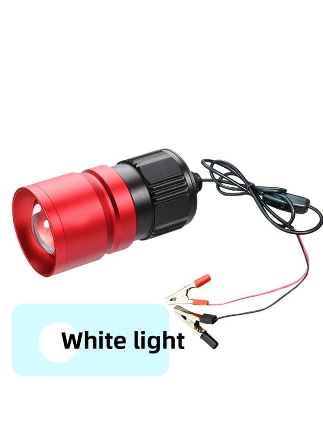 12v Night Fishing Lamp 5v Blue Light Strong Light Usb Fishing Lamp Cap White Blue Double Light Source Super Bright Outdoor Fishing Lamp-Color:12V Clip [white Light  - Image 1