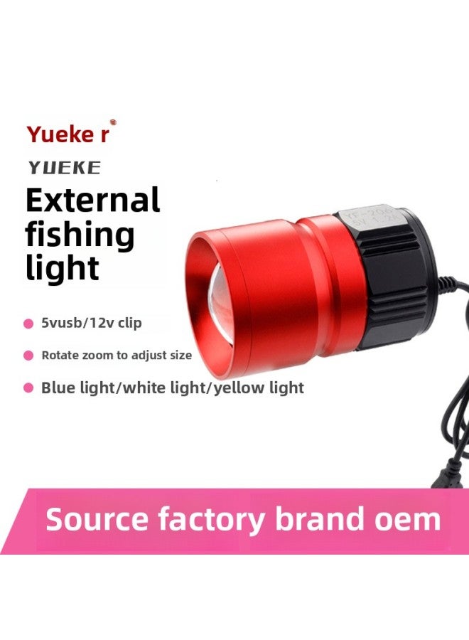 12v Night Fishing Lamp 5v Blue Light Strong Light Usb Fishing Lamp Cap White Blue Double Light Source Super Bright Outdoor Fishing Lamp-Color:12V Clip [white Light  - Image 2