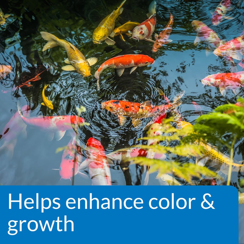 API POND FISH FOOD Pond Fish Food 2.68-Pound Bag - Image 5