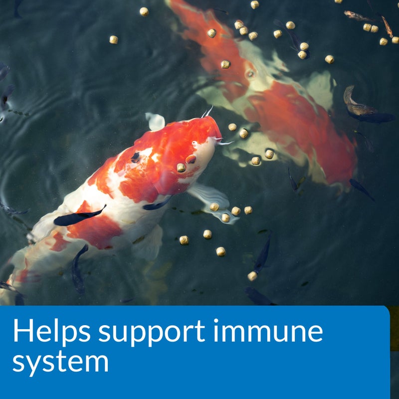 API POND FISH FOOD Pond Fish Food 2.68-Pound Bag - Image 4