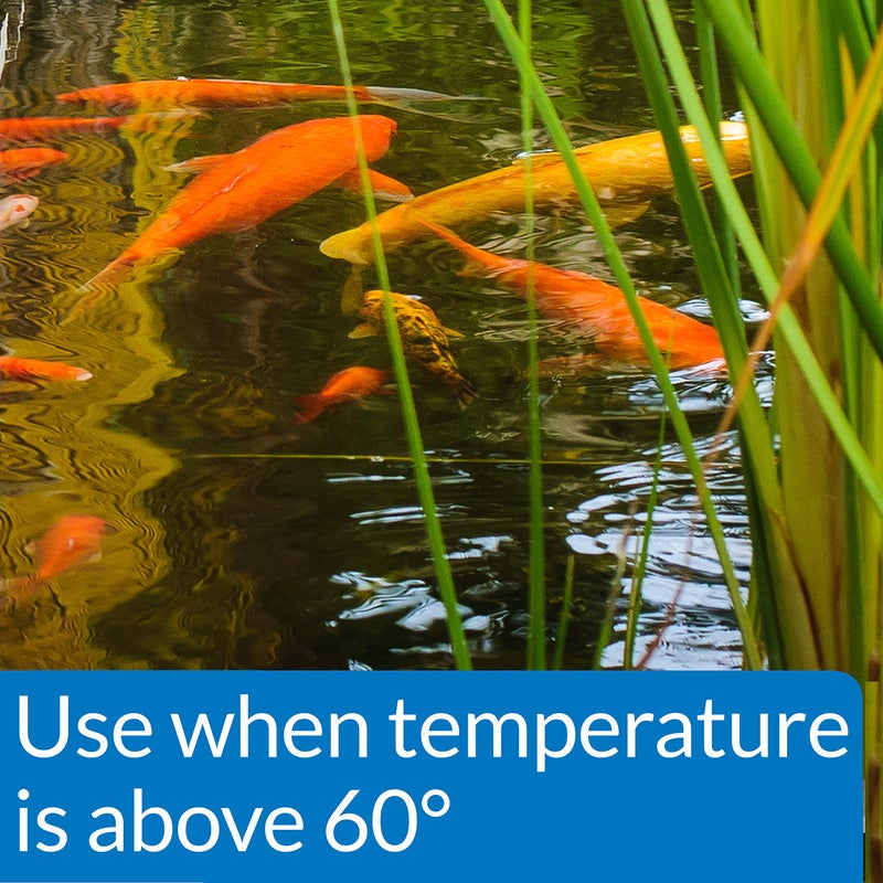 API POND FISH FOOD Pond Fish Food 2.68-Pound Bag - Image 3