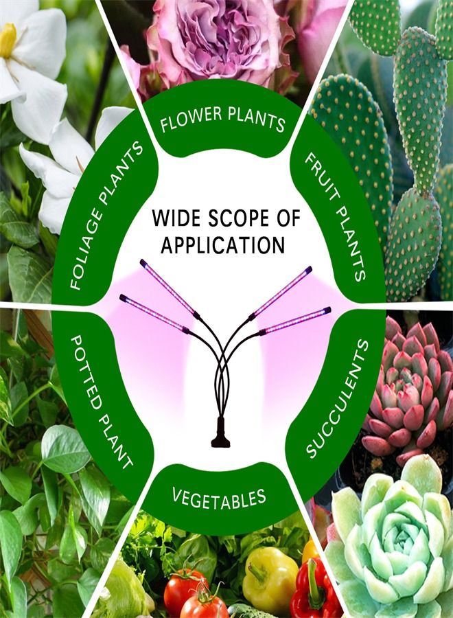 إم مياويان قاد الخضروات النباتية الداخلية ضوء النمو - Image 2
