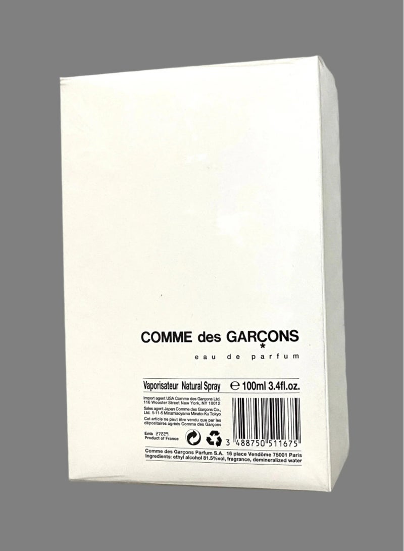 Comme Des Garcons Original Eau De Parfum 100ml 3.4 fl oz Niche rare Unisex perfume. - Image 2