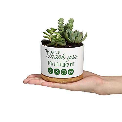 DOMG Teachers Appreciation Gift, Ceramic Succulent Plant Pot Small Flower Planter for Indoor Outdoor Use, Thank You for Helping Me Grow - Image 4