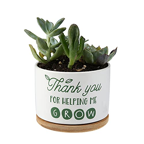 DOMG Teachers Appreciation Gift, Ceramic Succulent Plant Pot Small Flower Planter for Indoor Outdoor Use, Thank You for Helping Me Grow - Image 3