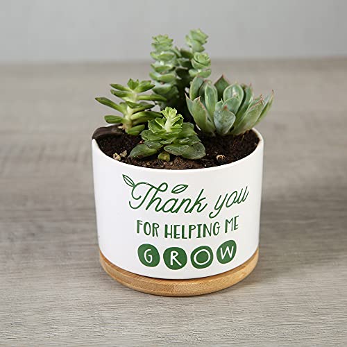 DOMG Teachers Appreciation Gift, Ceramic Succulent Plant Pot Small Flower Planter for Indoor Outdoor Use, Thank You for Helping Me Grow - Image 5
