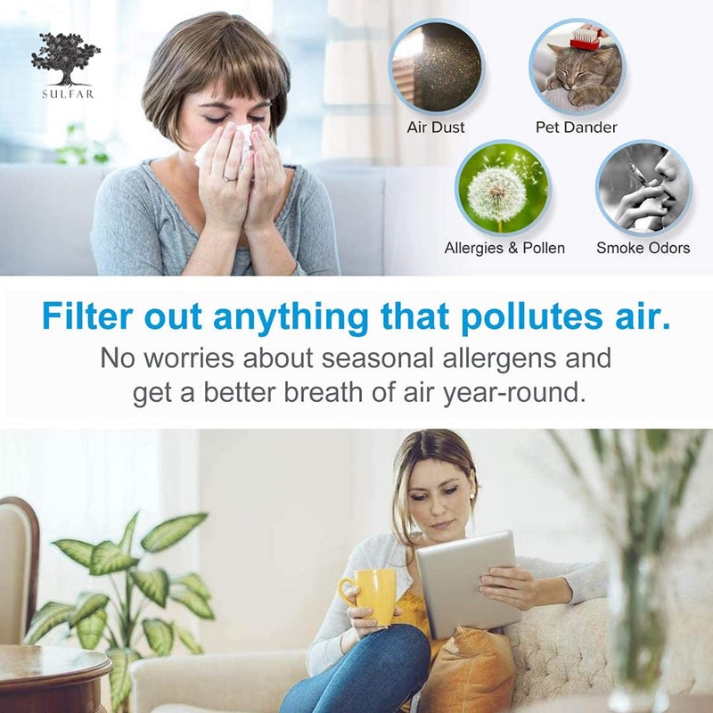 Sulfar SULF002 Home Desktop Air Purifier Negative Ioniser USB Portable with Night Light Portable Air Cleaner with True HEPA Filter Odor Allergies Eliminator for Smoke Dust Home Office and Pets - Image 2