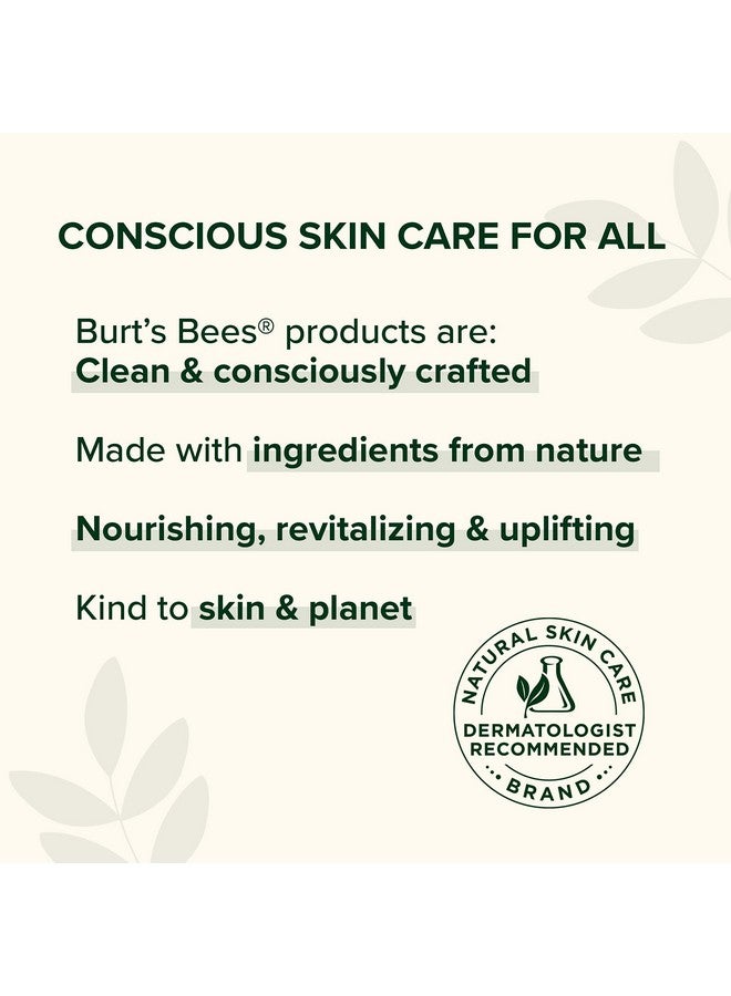 Burt's Bees 100% Natural Moisturizing Lip Balm, Multipack - Original Beeswax, Cucumber Mint, Coconut & Pear And Vanilla Bean With Beeswax & Fruit Extracts - 4 Tubes - Image 3