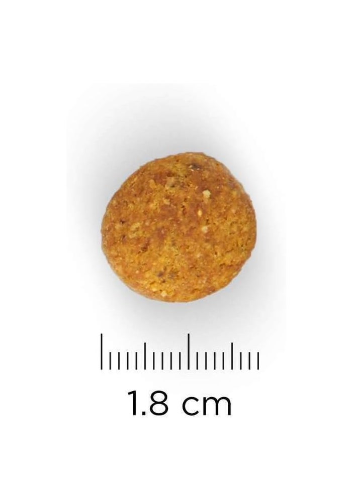 Hill's طعام الكلاب البالغين من هيلز ساينس بلان بوزن مثالي سلالة كبيرة مع دجاج - 12 كجم - Image 3