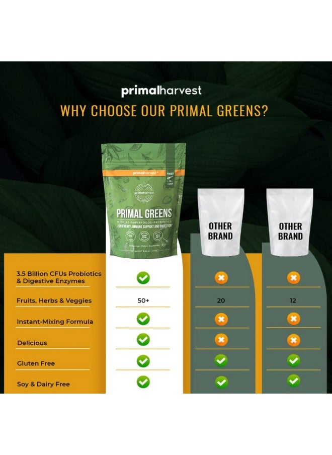 Primal Harvest Super Greens Powder 30 Servings W/+50 Greens Superfood Chlorella Probiotics Green Tea Wheatgrass Kale Turmeric For Energyprimal Greens  - Image 5