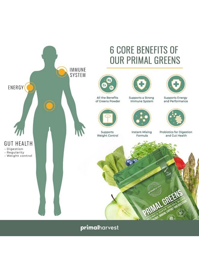 Primal Harvest - Super Greens Powder 30 Servings W/+50 Greens Superfood Chlorella Probiotics Green Tea Wheatgrass Kale Turmeric For Energyprimal Greens - Image 1