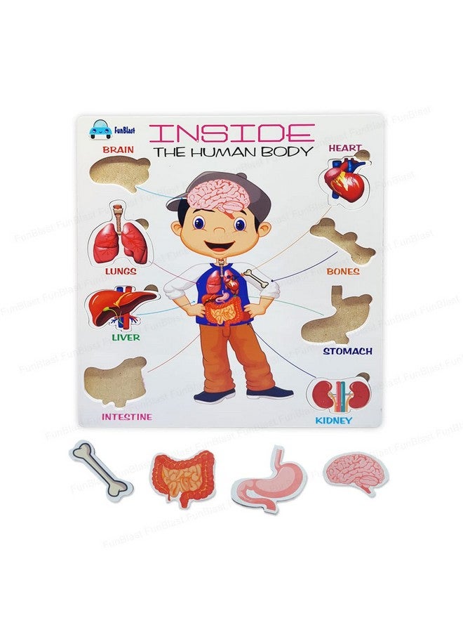FunBlast Body Parts Puzzle for Kids - Body Parts Toys, Educational Toys for Kids, Body Parts Chart for Kids, Body Parts, Parts of The Body Puzzle (Pack of 1Pcs) (Inside Human Body) - Image 1