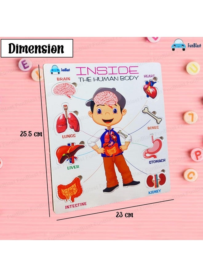 FunBlast Body Parts Puzzle for Kids - Body Parts Toys, Educational Toys for Kids, Body Parts Chart for Kids, Body Parts, Parts of The Body Puzzle (Pack of 1Pcs) (Inside Human Body) - Image 2