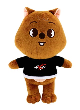 Stray Kids Cuddly Toy, Skzo Stan Stray Kids  Plush Doll, Soft Animal Plushie Stuffed Pillow Cushion, Plush Doll Toy,Soft Toy, Cartoon Soft Toy for Boys and Girls Fans - pzsku/ZAE1803F2794A0A3B334EZ/45/_/1695807252/6cc4b6be-8dc1-4647-8516-4b49914451e7