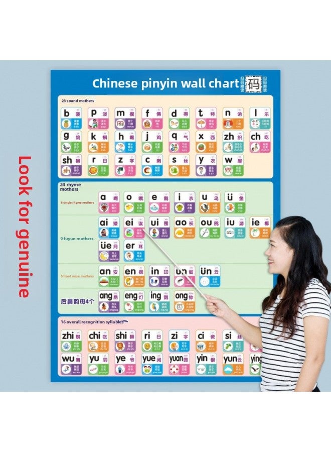 Primary School Chinese Aoe Pinyin Alphabet Wall Poster Initial Consonant Vowel Overall Recognition Syllable Pinyin Wall Chart-Color:【small Size】 42x 28.5cm-Specifications:【2 Photos】 Pinyin + Syllabl  - Image 2