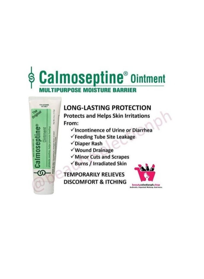 Calmoseptine Ointment - 113g | Protects, Soothes, and Promotes Healing - pzsku/ZAE18812F10D3354AA782Z/45/_/1737783624/380d8d43-c38d-4683-a2ca-74d7184c76bb