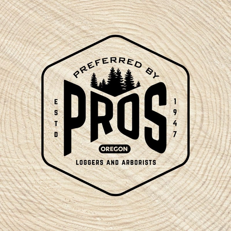 Oregon 25896 3/16 inch Chainsaw File Guide with File - Image 2