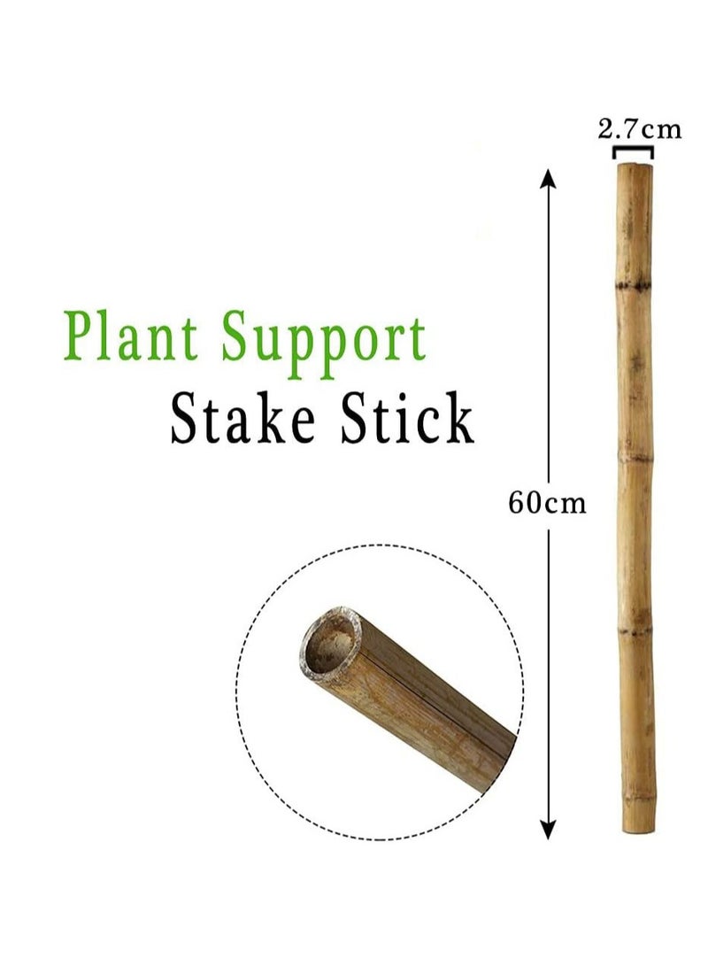 Generic FFD 5Pcs Natural Bamboo Poles Bamboo Stake for Plant Support 60cm  - Image 2