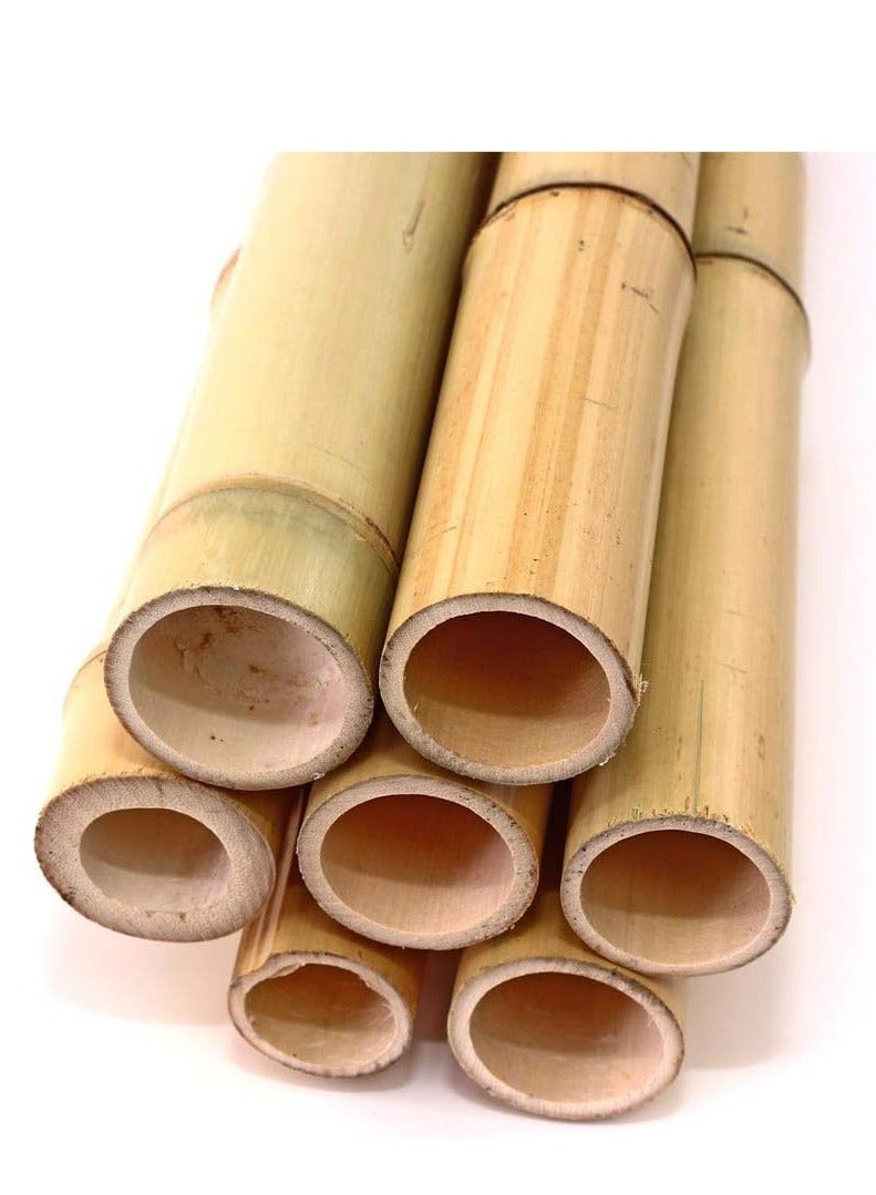 Generic FFD 5Pcs Natural Bamboo Poles Bamboo Stake for Plant Support 60cm  - Image 3