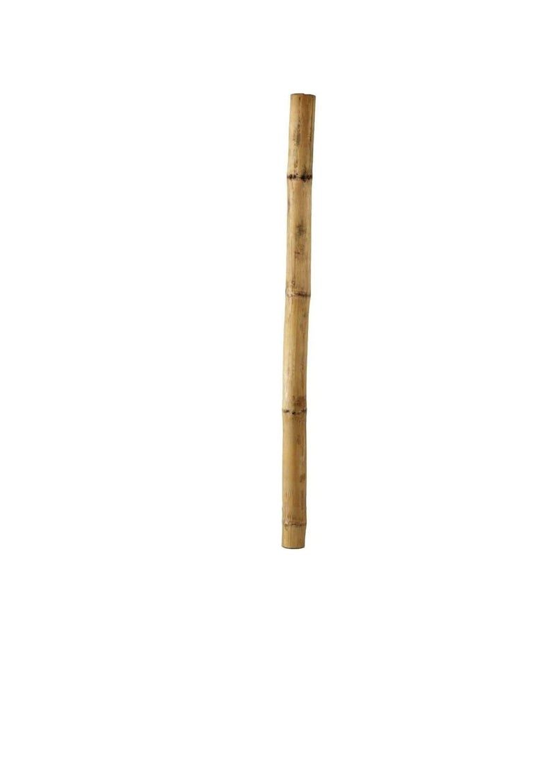 Generic FFD 5Pcs Natural Bamboo Poles Bamboo Stake for Plant Support 60cm  - Image 1