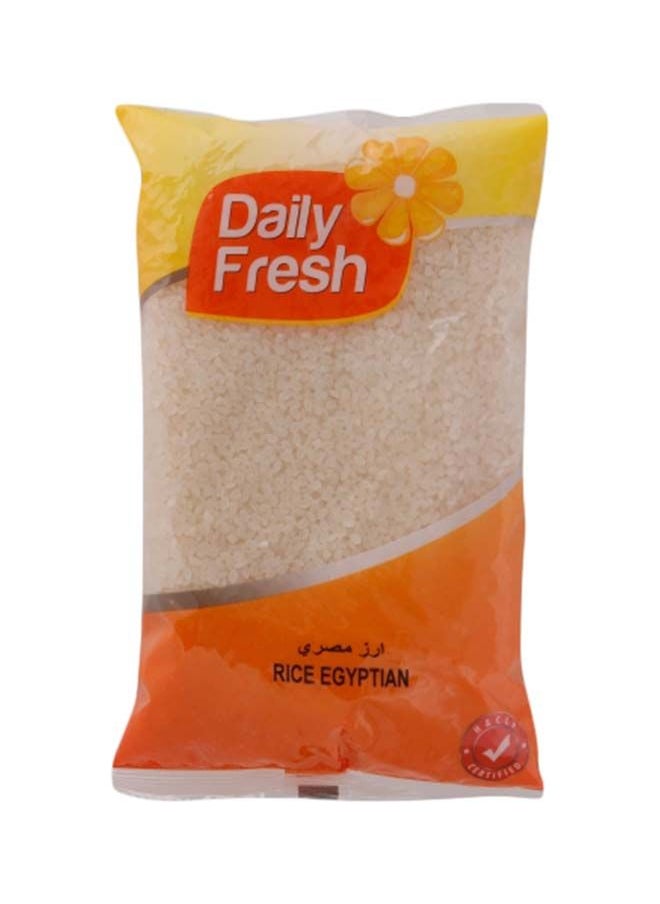 Daily Fresh Egyptian Rice, 1KG 