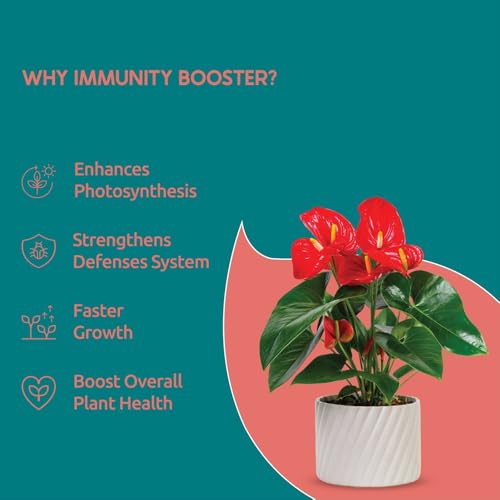 Nurturing Green® Liquid Plant Immunity Booster (300ml) | Organic Soil Enricher with Amino Acids | Enhances Plant Growth, Strengthens Defence System & Increases Pest Resistance - Image 2